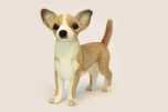 Plüschtier Chihuahua, Stofftier Chihuahua, Kuscheltier Chihuahua, Plüsch Chihuahua, Stoff Chihuahua, Chihuahua HANSA Toy 6295